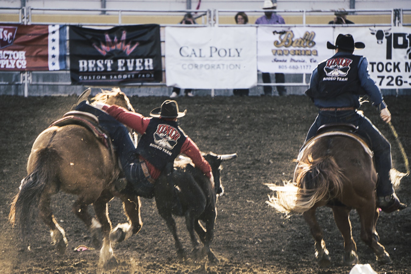 A Beginners Guide to the Extreme Sport of Rodeo - Extreme Sports Lab